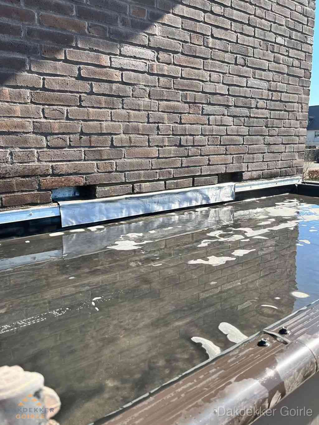 Lekkage Dak Repareren Goirle Lekkage Dak Repareren Goirle