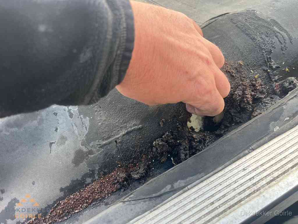 Plat Dak Reparatie Goirle Plat Dak Reparatie Goirle